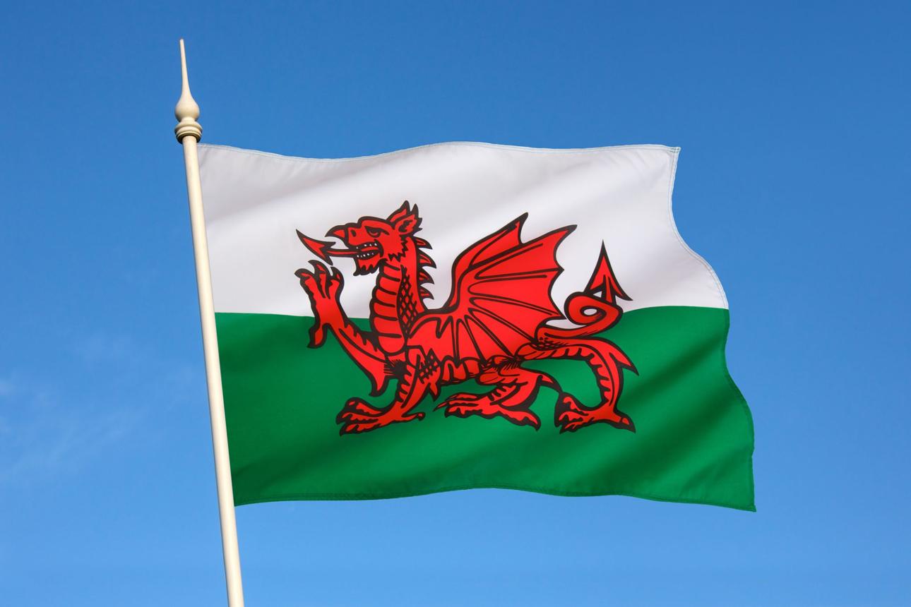 Drapeau du Pays de Galles (Wales) – 90 x 150 cm – Polyester