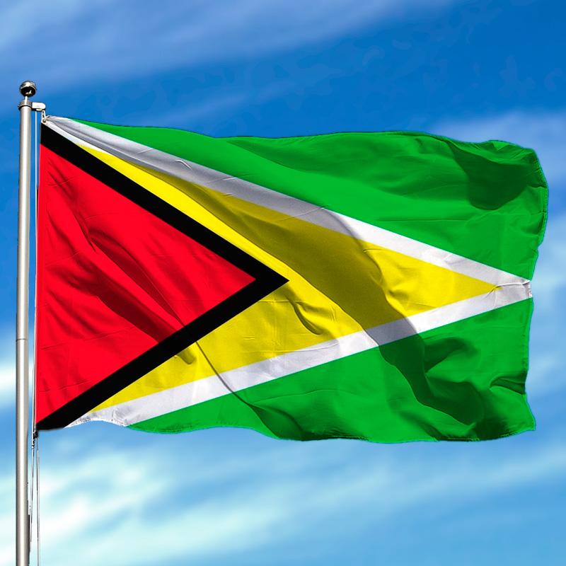 Drapeau Guyana 90 x 150 cm / 2 œillets