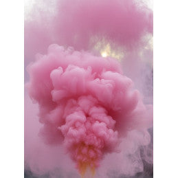 Lot de 6 Fumigène à poser Rose 200x35 mm - Allumage par mèche (Usage extérieur)
