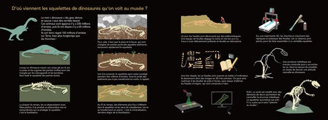 Le Fossile – Max Ducos (Pop-up)