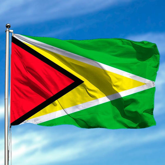 Drapeau Guyana 90 x 150 cm / 2 œillets