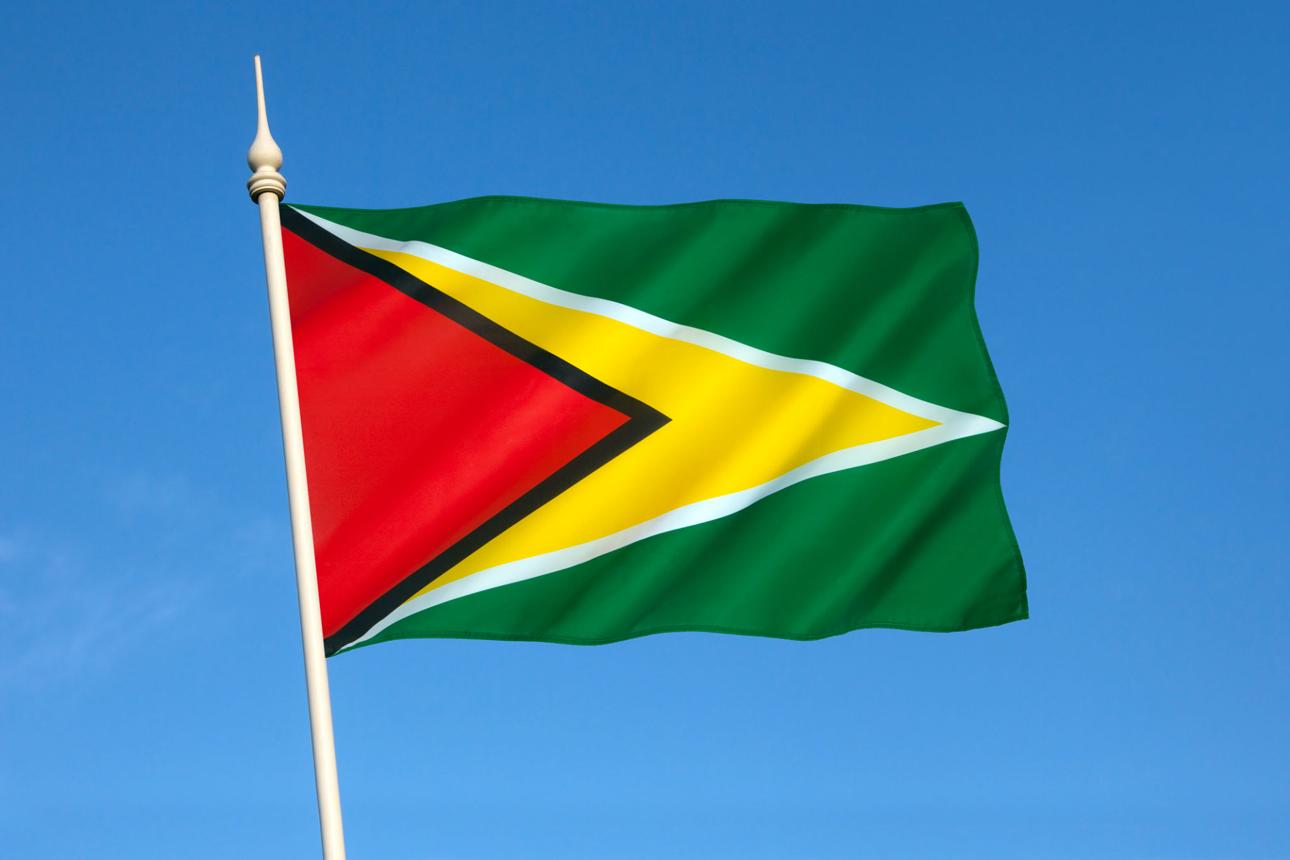 Drapeau Guyana 90 x 150 cm / 2 œillets