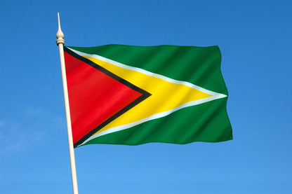 Drapeau Guyana 90 x 150 cm / 2 œillets