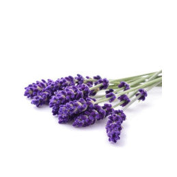 Fleurs de Lavande 200g - Lavande de Drôme Provençale - Par 6