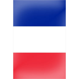 Guirlande 5m 8 fanions France - Plastique 20x30 cm