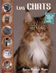 Les chats – Avec poster offert